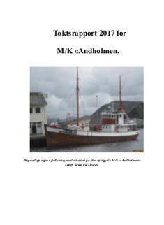 Toktsrapport 2017